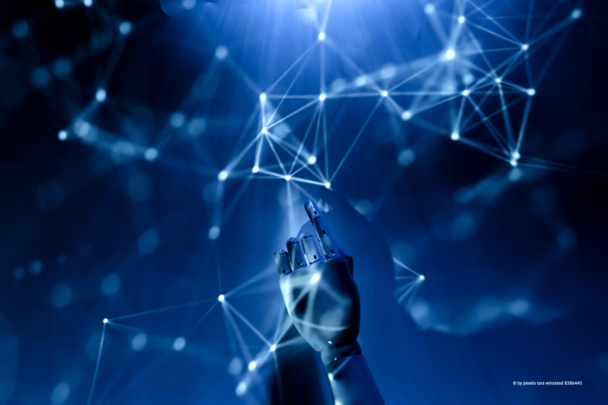 Netzwerktechnologie by Elektrotechnik Detlef Kalenborn - Bild: © copyright by pexels tara winstead-8386440